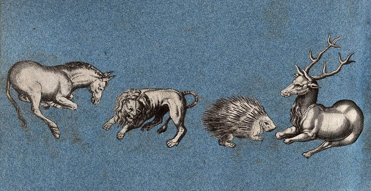 A horse, a lion, a hedghog and a stag. Cut-out engraving pasted onto paper, 16--?. Wellcome Collection. Public Domain Mark. Source: Wellcome Collection. https://wellcomecollection.org/works/ynw63q9j